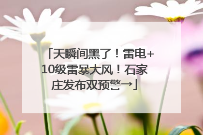 天瞬间黑了！雷电+10级雷暴大风！石家庄发布双预警→