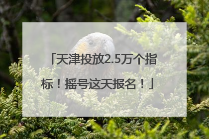 天津投放2.5万个指标！摇号这天报名！
