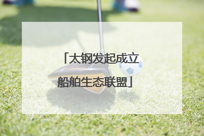 太钢发起成立船舶生态联盟