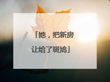 她，把新房让给了斑鸠