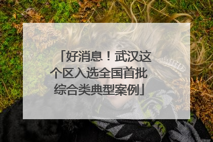 好消息！武汉这个区入选全国首批综合类典型案例
