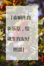 奏响托育新乐章，绘就生育友好图景