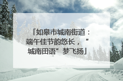 如皋市城南街道：端午佳节韵悠长，“城南田语”梦飞扬