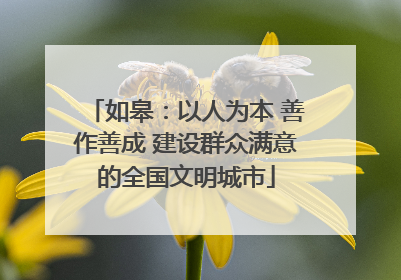 如皋：以人为本 善作善成 建设群众满意的全国文明城市