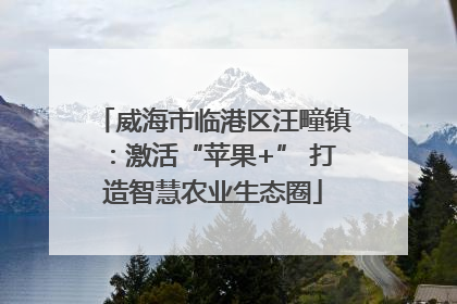 威海市临港区汪疃镇：激活“苹果+” 打造智慧农业生态圈