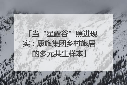 当“星露谷”照进现实：康旅集团乡村旅居的多元共生样本