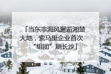 当东非海风邂逅湘楚大地，索马里企业首次“组团”刷长沙