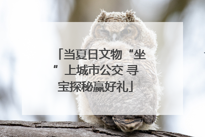 当夏日文物“坐”上城市公交 寻宝探秘赢好礼