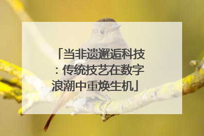 当非遗邂逅科技：传统技艺在数字浪潮中重焕生机