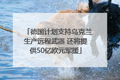 德国计划支持乌克兰生产远程武器 还将提供50亿欧元军援