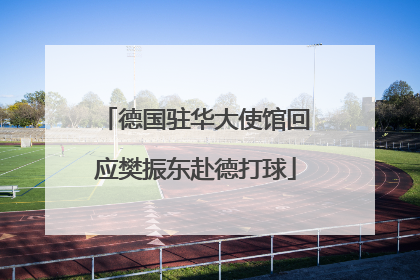 德国驻华大使馆回应樊振东赴德打球