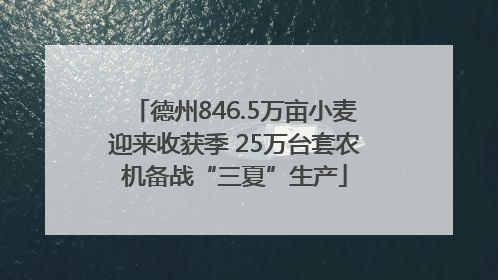 德州846.5万亩小麦迎来收获季 25万台套农机备战“三夏”生产