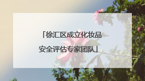 徐汇区成立化妆品安全评估专家团队
