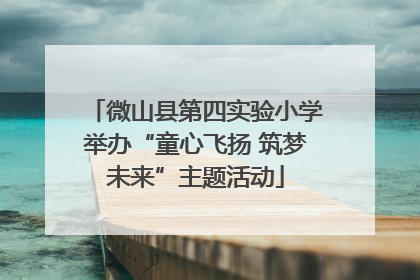 微山县第四实验小学举办“童心飞扬 筑梦未来”主题活动