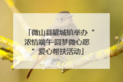 微山县驩城镇举办“浓情端午·圆梦微心愿”爱心帮扶活动