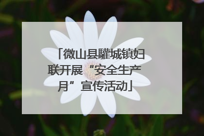微山县驩城镇妇联开展“安全生产月”宣传活动