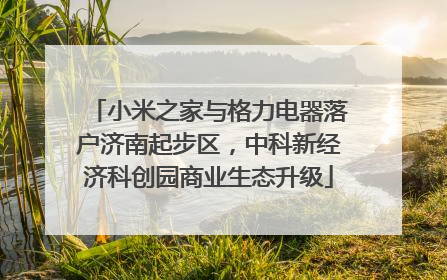 小米之家与格力电器落户济南起步区，中科新经济科创园商业生态升级