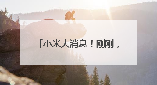 小米大消息！刚刚，Arm官方认证：玄戒O1芯片由小米自主研发！雷军此前称已开始大规模量产