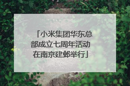 小米集团华东总部成立七周年活动在南京建邺举行