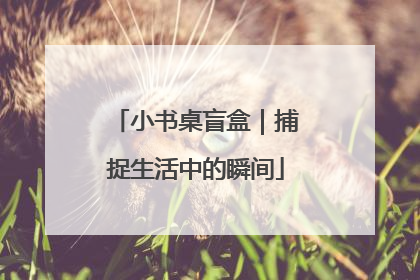 小书桌盲盒｜捕捉生活中的瞬间
