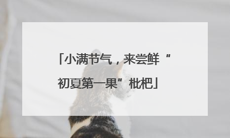 小满节气，来尝鲜“初夏第一果”枇杷