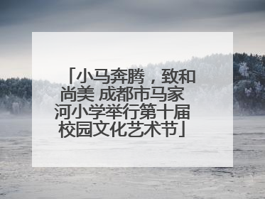 小马奔腾，致和尚美 成都市马家河小学举行第十届校园文化艺术节