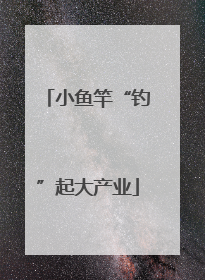 小鱼竿“钓”起大产业