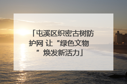 屯溪区织密古树防护网 让“绿色文物”焕发新活力