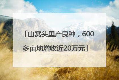 山窝头里产良种，600多亩地增收近20万元
