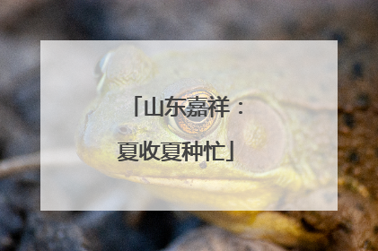 山东嘉祥：夏收夏种忙