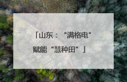 山东：“满格电”赋能“慧种田”