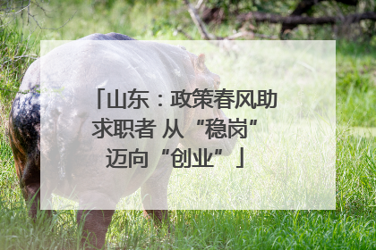 山东：政策春风助求职者 从“稳岗”迈向“创业”