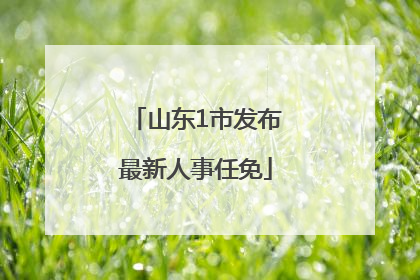 山东1市发布最新人事任免