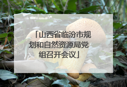 山西省临汾市规划和自然资源局党组召开会议