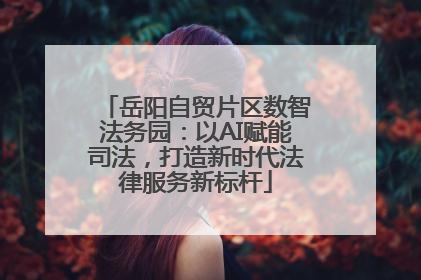岳阳自贸片区数智法务园：以AI赋能司法，打造新时代法律服务新标杆