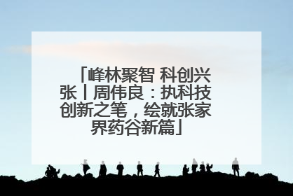 峰林聚智 科创兴张丨周伟良：执科技创新之笔，绘就张家界药谷新篇