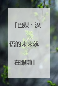 巴媒：汉语的未来就在眼前
