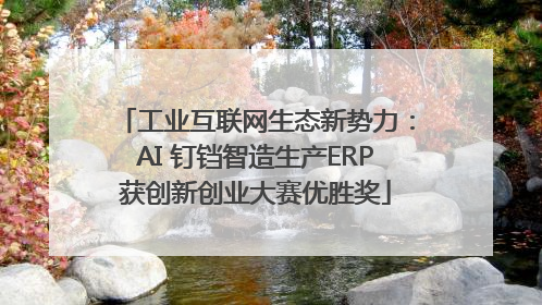 工业互联网生态新势力：AI 钉铛智造生产ERP获创新创业大赛优胜奖