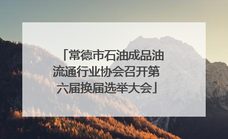 常德市石油成品油流通行业协会召开第六届换届选举大会