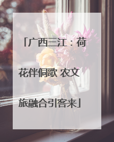 广西三江：荷花伴侗歌 农文旅融合引客来