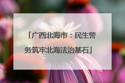 广西北海市：民生警务筑牢北海法治基石
