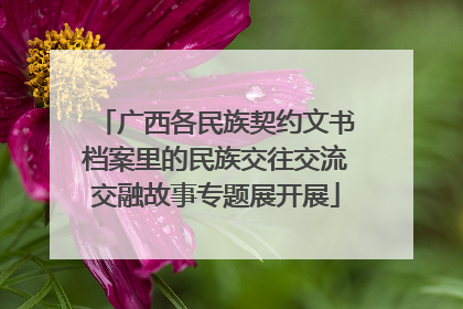 广西各民族契约文书档案里的民族交往交流交融故事专题展开展