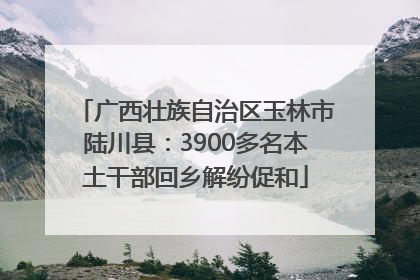 广西壮族自治区玉林市陆川县：3900多名本土干部回乡解纷促和