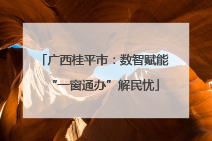 广西桂平市：数智赋能“一窗通办”解民忧