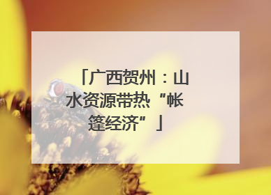 广西贺州：山水资源带热“帐篷经济”