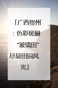 广西贺州：色彩斑斓“玻璃田”尽显田园风光