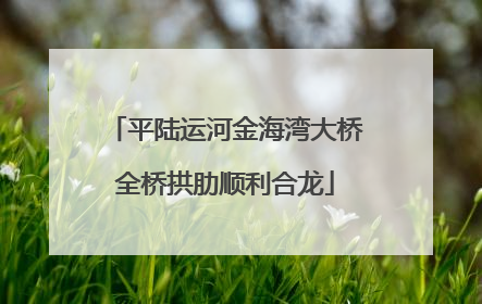 平陆运河金海湾大桥全桥拱肋顺利合龙
