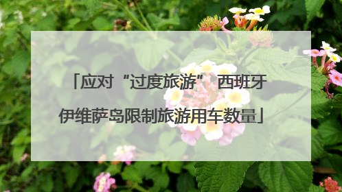 应对“过度旅游” 西班牙伊维萨岛限制旅游用车数量