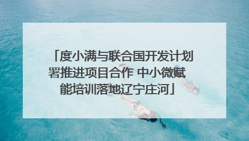 度小满与联合国开发计划署推进项目合作 中小微赋能培训落地辽宁庄河
