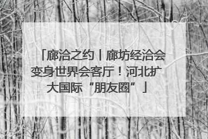 廊洽之约丨廊坊经洽会变身世界会客厅！河北扩大国际“朋友圈”